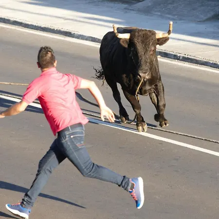 別荘 Casa Terra Mar