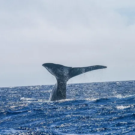 Σπίτι διακοπών Casa Terra Mar