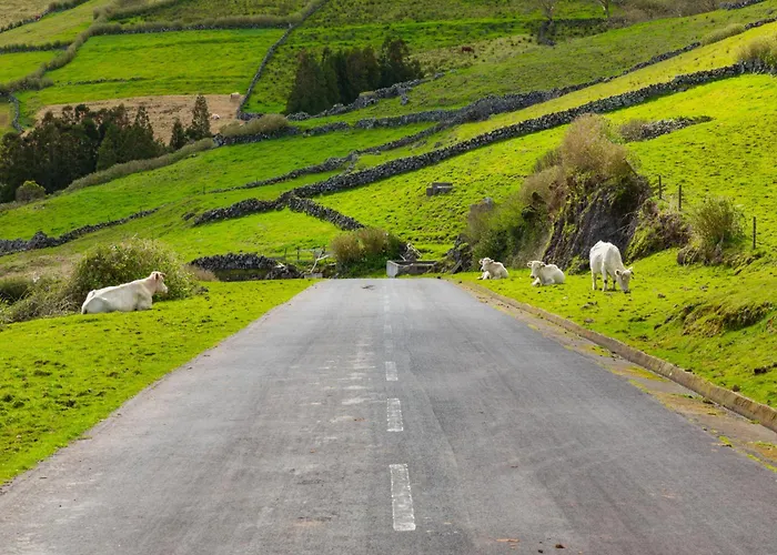 別荘 Casa Terra Mar