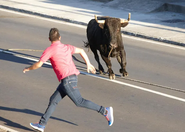 別荘 Casa Terra Mar